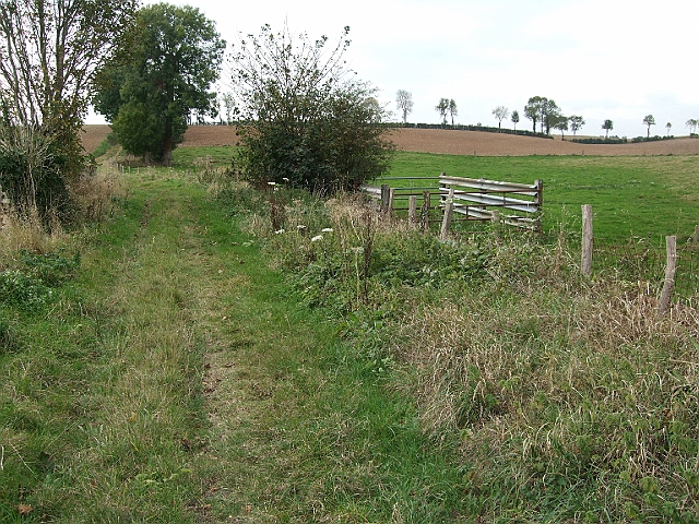futur trail 046.jpg
